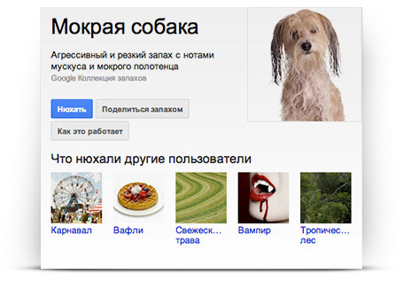 Google Нос запах мокрой собаки