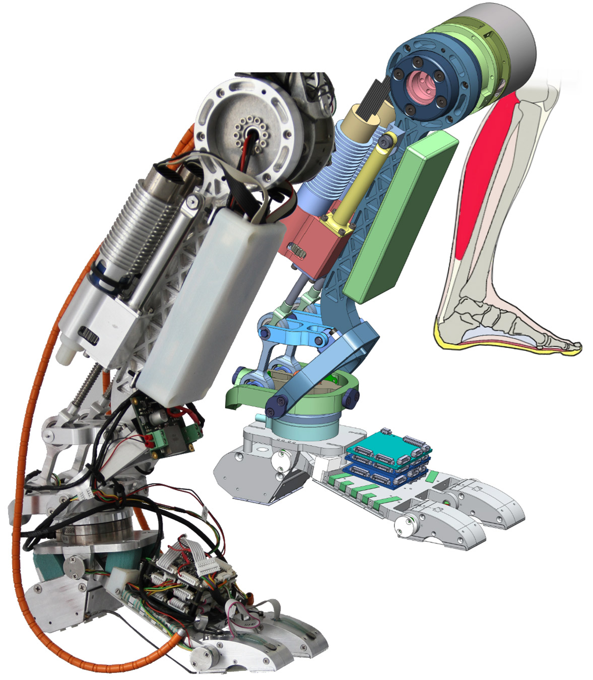 Задняя нога робота 3d модель