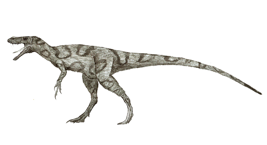 стокерозавр клеванда Stokesosaurus clevelandi