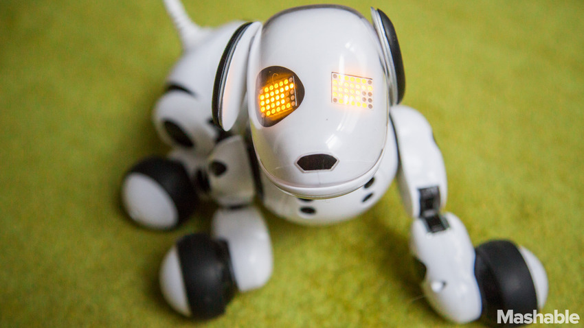 Zoomer – собака-робот