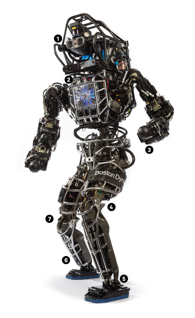 Робот DARPA