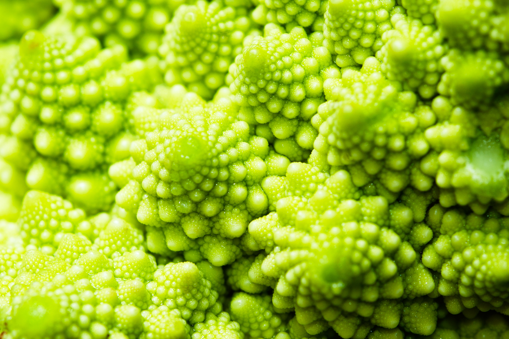 fractal broccoli фибоначи